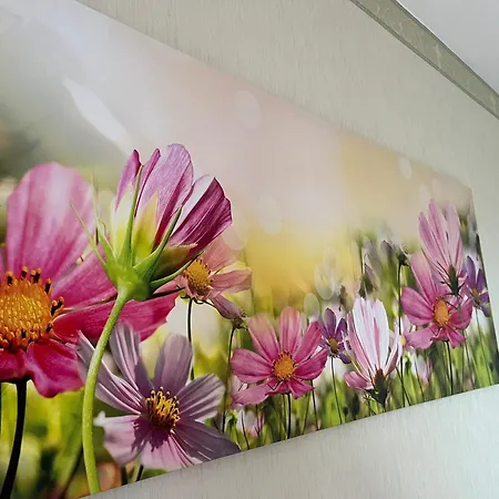 Comfort Living Orbassano